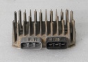 POLARIS-(new ref. 4016868) voltage regulator-4014856