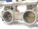 POLARIS-throttle body assembly, dual, 4-3131714