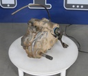POLARIS-TRANSMISSION ASSEMBLY-3235282