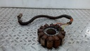 BRP (Can-am / Ski-doo)-Stator Plate-420665433