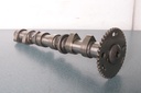 BRP (Can-am / Ski-doo)-camshaft intake-420820204