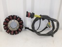 BRP (Can-am / Ski-doo)-Stator Plate 850W-420686363