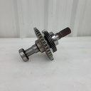 output shaft