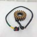 BRP (Can-am / Ski-doo)-(new ref. 420685632) stator plate xt, xtp-420685630