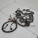 BRP (Can-am / Ski-doo)-WIRING HARNESS MAIN-710001171