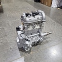 BRP (Can-am / Ski-doo)-long block 602-420060270