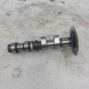 BRP (Can-am / Ski-doo)-camshaft intake-420820104