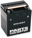 PARTS UNLIMITED BATTERIES-PARTS UNLIMITED BATTERIES  CTX30L-BS-10-2113-0107