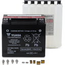 YUASA-YUASA  YUAM620BH-10-YTX20HL-BS