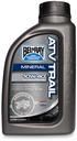 [10-504785] (CS/12) ATV TRAIL W/RDS 10W40 1 LITER