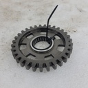 BRP (Can-am / Ski-doo)-pigion gear, 31 teeth-420434532