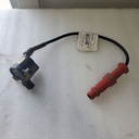 POLARIS-KIT-COIL W/WIRE,500EFI-4011487