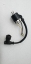 POLARIS-COIL-IGN,CDI,DC-SDI,MAG - POLARIS - 4012168-4012168