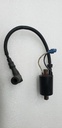 POLARIS-COIL-IGN,DC-SDI,LE,PTO-4013051