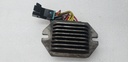 POLARIS-AC/DC LE REGULATOR-4013460