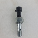 POLARIS-(new ref. 4081117) switch-brk,m10x1.25,dbl-4014262